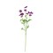 Allstate 27" Violet Mini Cosmos Flower Artificial Floral Spray